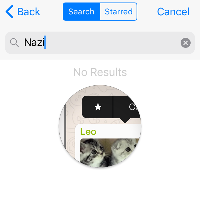 WhatsApp GIF search for 'nazi', resulting in 'No Results'