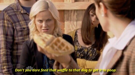 Leslie from Parks & Rec, saying “don't you dare feed that waffle to that dog to get it to poop”