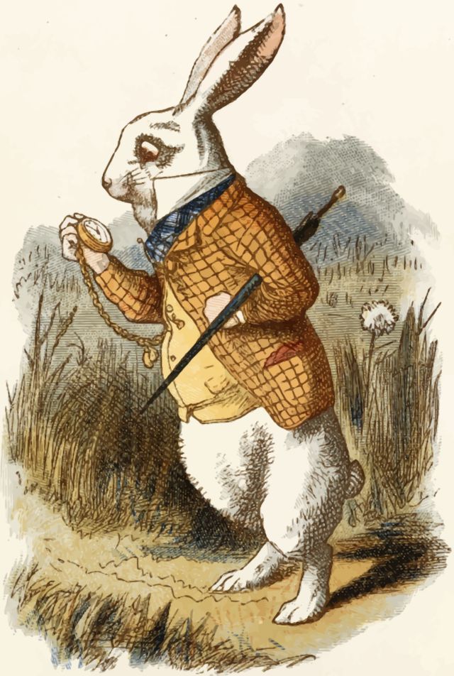 A white rabbit wearing a waistcoat and looking at his pocket-watch, running late. From Lewis Carrol's Alice in Wonderland.